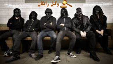 تصویر سردستگی گروه مجرمانه سازمان یافته